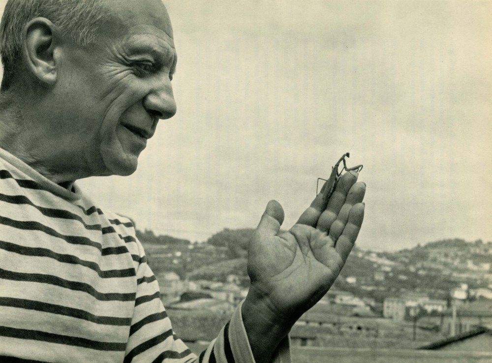 Lot #516: ROBERT DOISNEAU - Picasso et mantis de prière - Original vintage photogravure