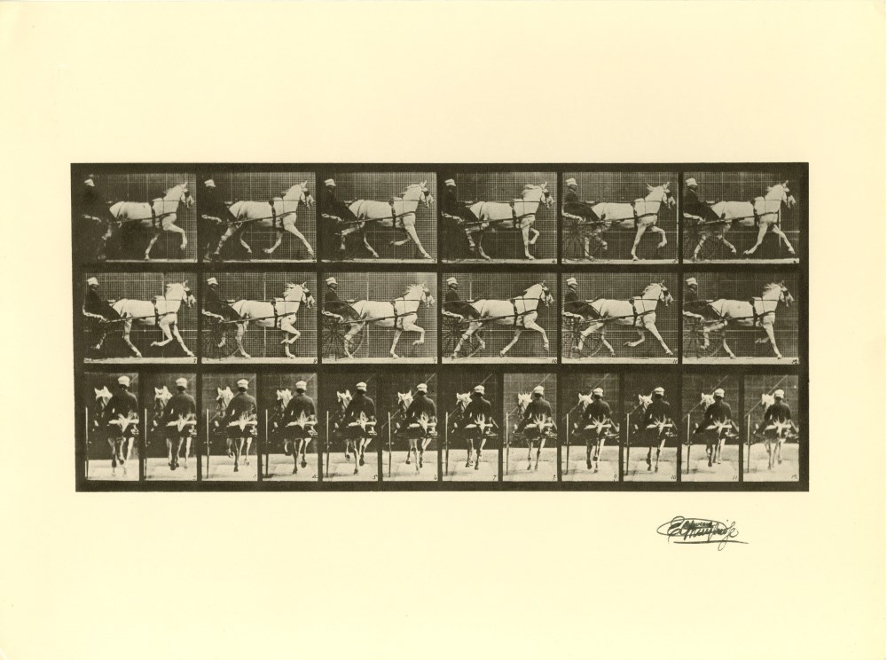 Lot #2195: EADWEARD MUYBRIDGE - Trotting Horse with Sulky - Original photogravure