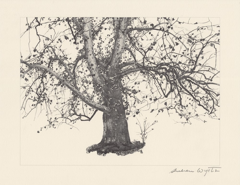 Lot #1922: ANDREW WYETH - New Leaves - Offset lithograph