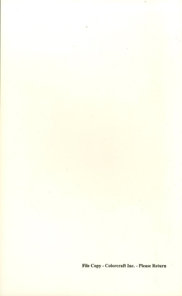 Lot #904: ANDY WARHOL - Cow Wallpaper - Original color silkscreen