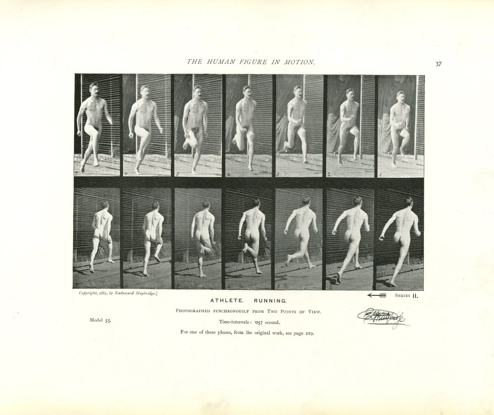 Lot #1550: EADWEARD MUYBRIDGE - Athlete: Running - Original photomezzotint & letterpress