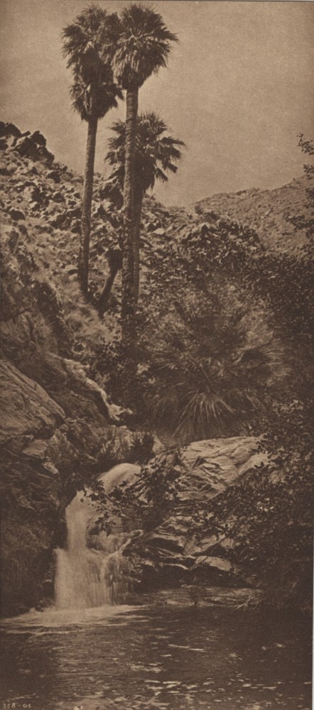 Lot #2437: EDWARD S. CURTIS - Palm Canyon, California - Original vintage sepia toned photogravure